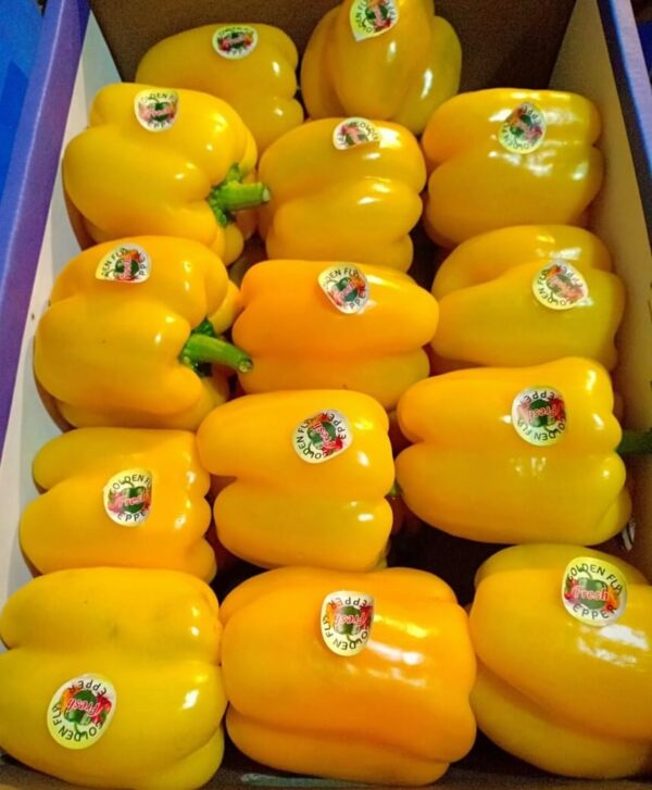 Yellow-Pepper